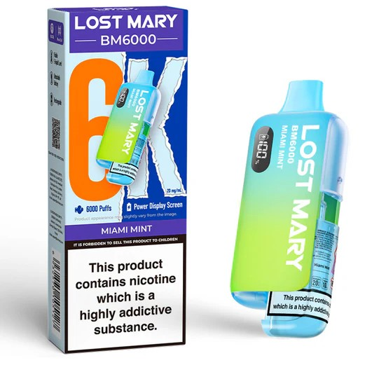 Lost Mary BM6000 Miami Mint
